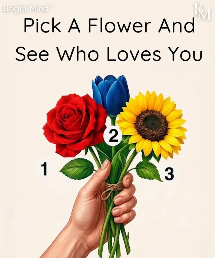 Pick a Flower Meaning: What Your Choice Reveals About Love