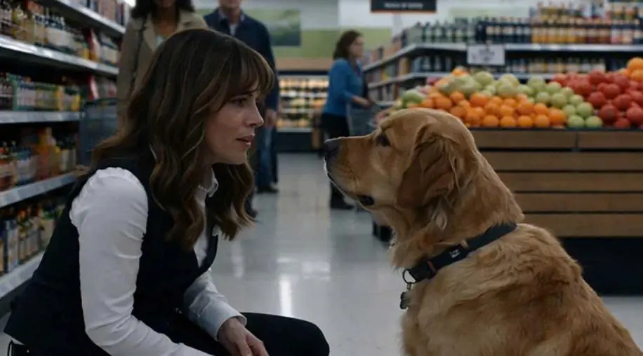 The woman begged the stranger's dog to remember her, and the dog, with tears streaming from its eyes, slowly turned its head toward her face, as if responding to a promise left unspoken years before.