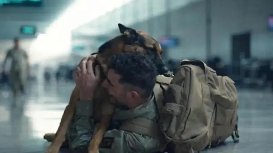 I was psychologically shattered when I happened to see the dog that had saved my life… but what his companion told me afterwards brought me to tears.