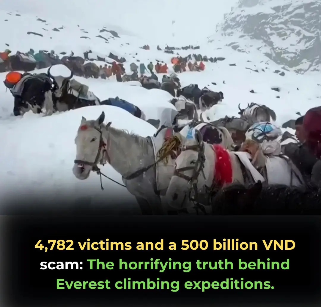 The Everest Rescue Scandal: A $20 Million Insurance Fraud That Shook the World