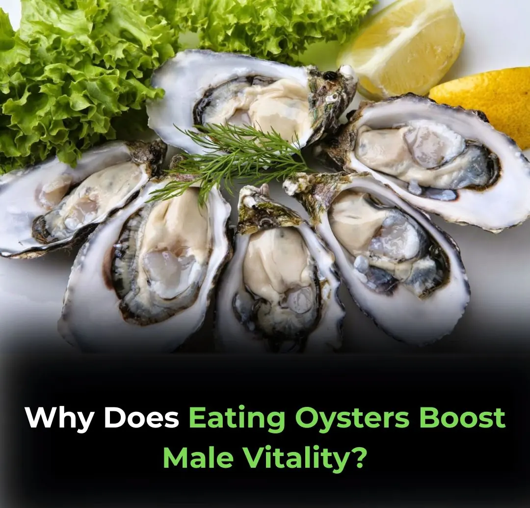 Why Does Eating Oysters Boost Male Vitality? The Science Behind the Legend