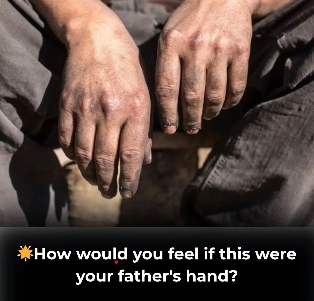 The Grit Behind the Gown: A Story of Two Sisters and a Hero’s Hands