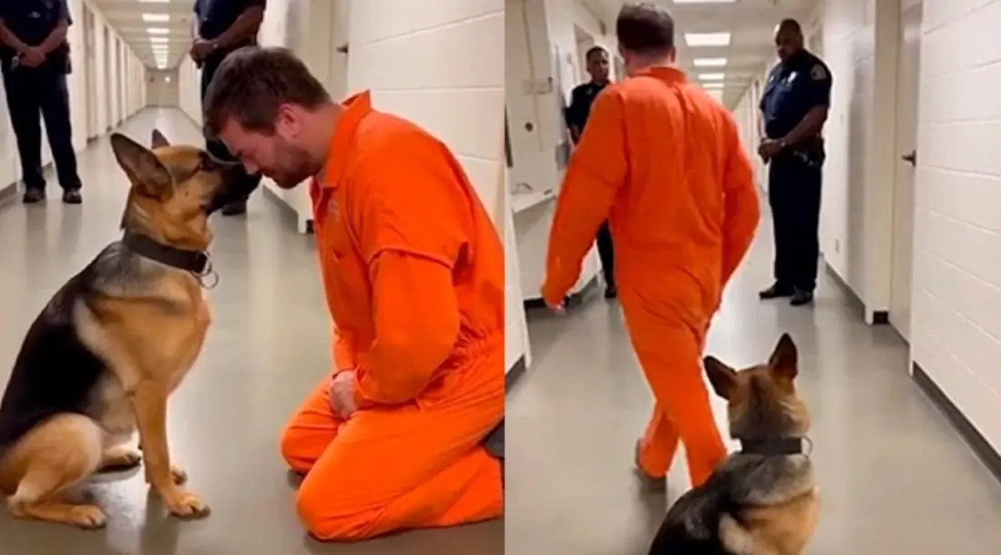 The corridor was filled with the coldness of prison life.