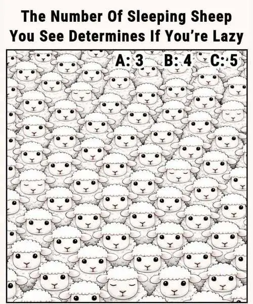 The Number of Sleeping Sheep You See Reveals Your Personality — What Do You Notice First 1 ?