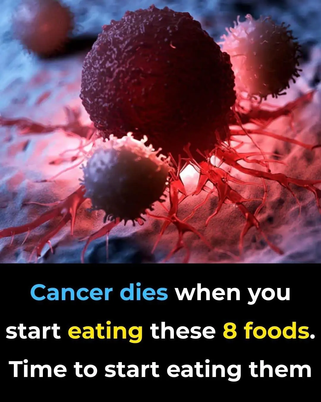 8 of the Best Anti-Cancer Foods: It’s Time to Start Adding Them to Your Diet
