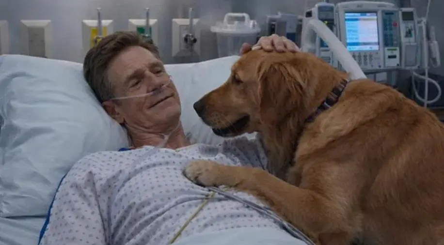 The man repeated the same name for three days in a row, but neither the doctors nor his relatives understood who he was calling.