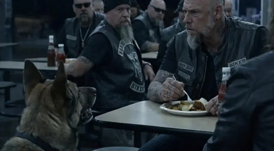 A dirty, panting dog burst into the night among the bikers and, with almost human eyes, silently begged a lone biker for help.