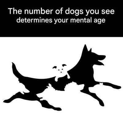 The number of dogs you see determines your mental age