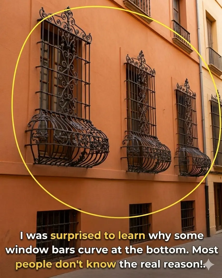 Why Are Some Window Bars Curved at the Bottom? The Hidden Purpose Most People Don’t Know