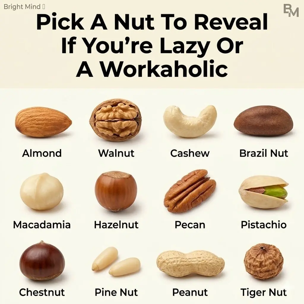 Pick a Nut: Are You Lazy or a Workaholic? (Personality Quiz)