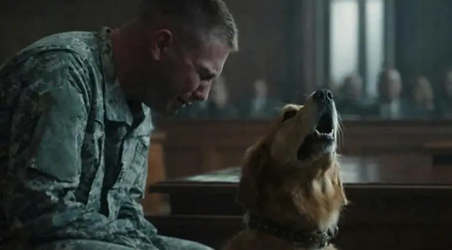 The judge was about to deliver the verdict, but the dog’s desperate gaze and its howl, mingled with the soldier’s tears, changed everything.