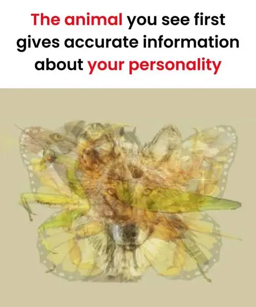 The Animal You See First Reveals Your True Personality — What Did You Notice?