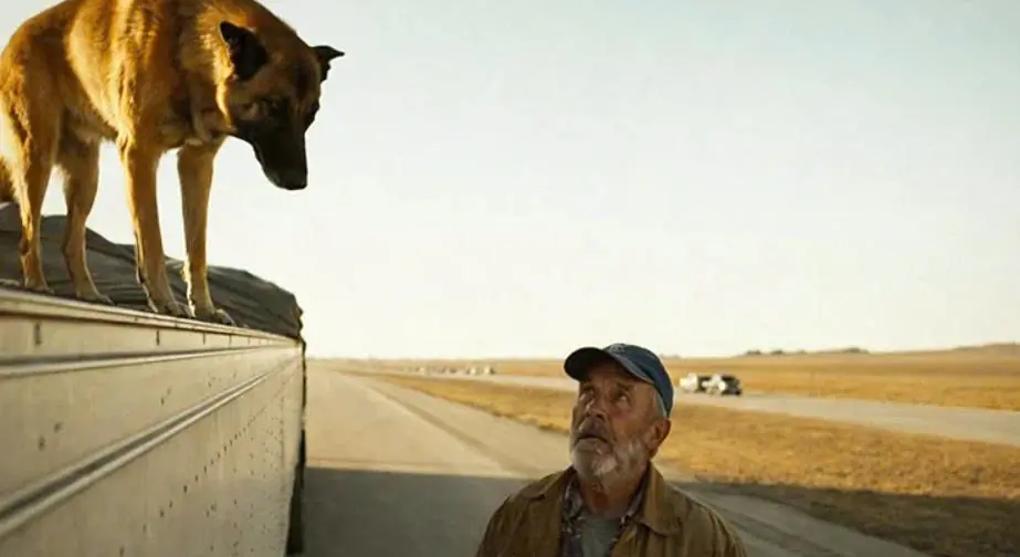 What John thought was a chance encounter on the highway was actually the end of forty months of waiting for a dog.