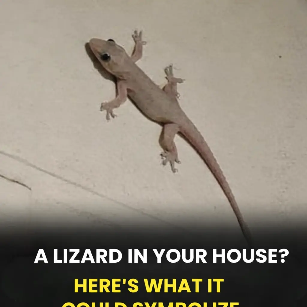 What It Means When a Lizard Enters Your Home: Spiritual Meanings and Cultural Signs