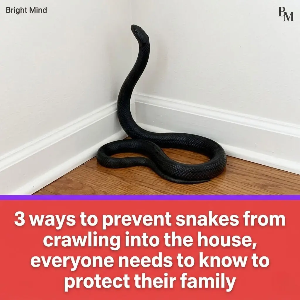 3 Effective Ways to Prevent Snakes from Entering Your Home (And Protect Your Family)