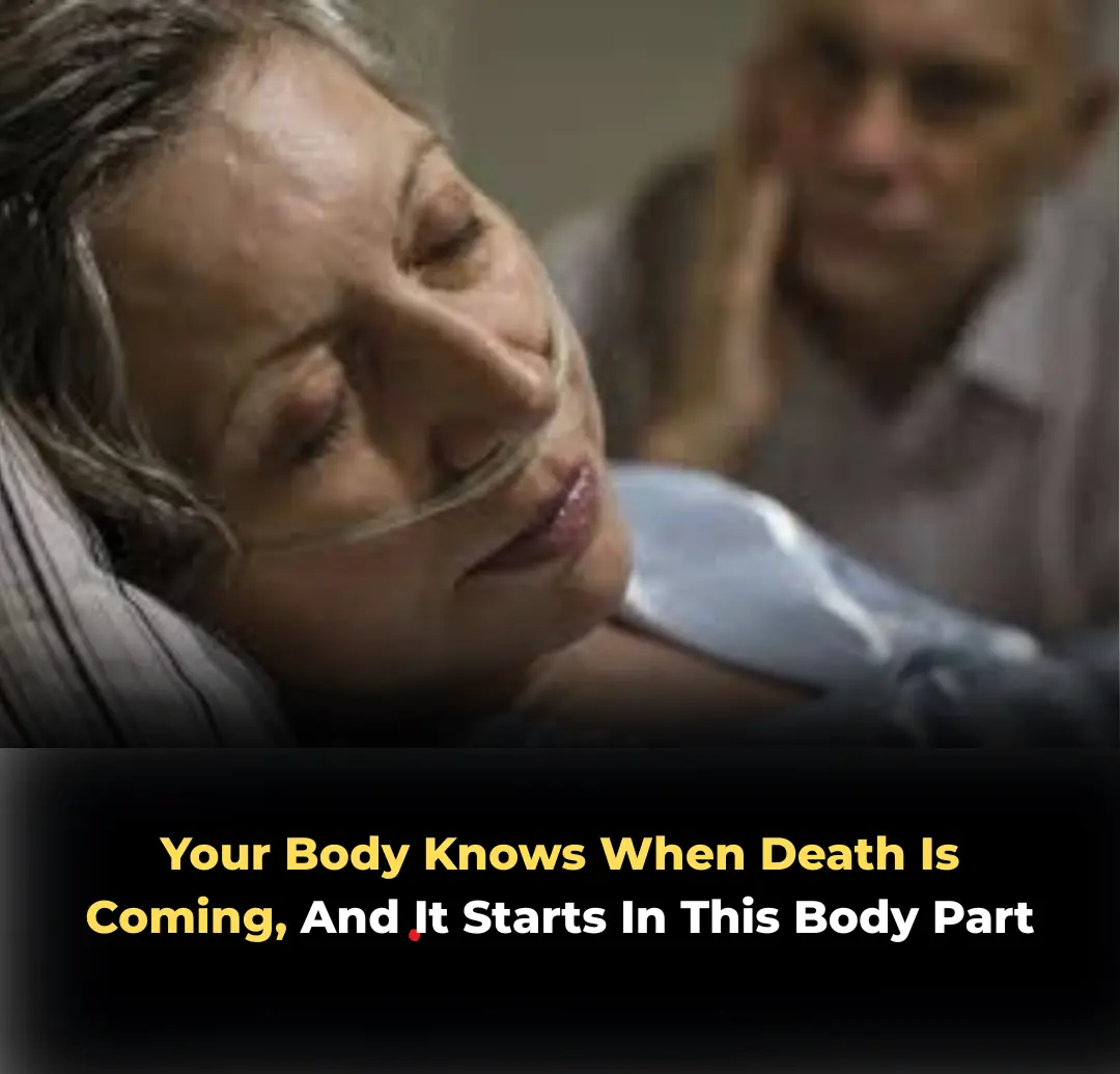 The Nose Knows: Can Your Sense of Smell Predict Death?