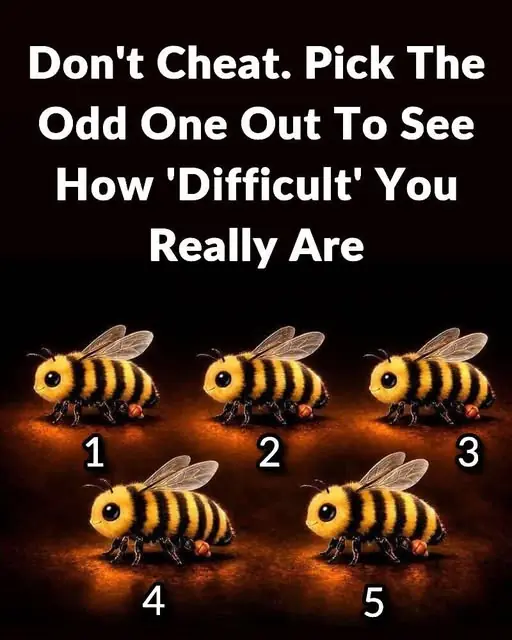 Don’t Cheat 👀 Pick the Odd One Out to See How “Difficult” You Really Are