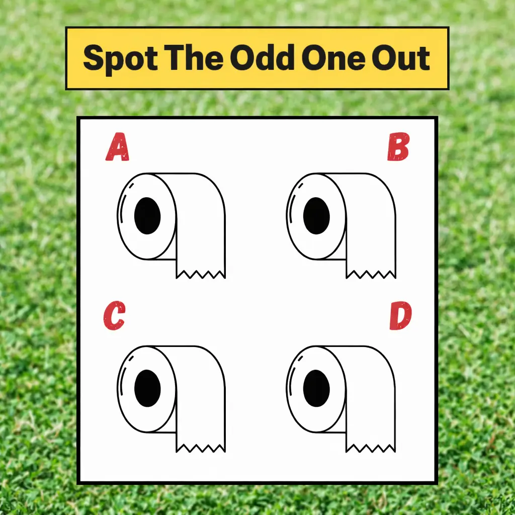 Can You Spot the Odd One Out? The Toilet Paper Brain Teaser Explained