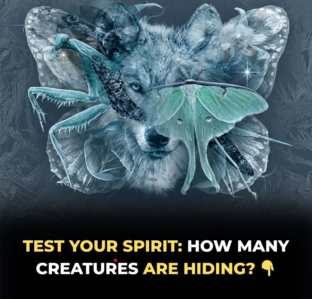 The Animal You See First Reveals Your True Personality – What Did You Notice?