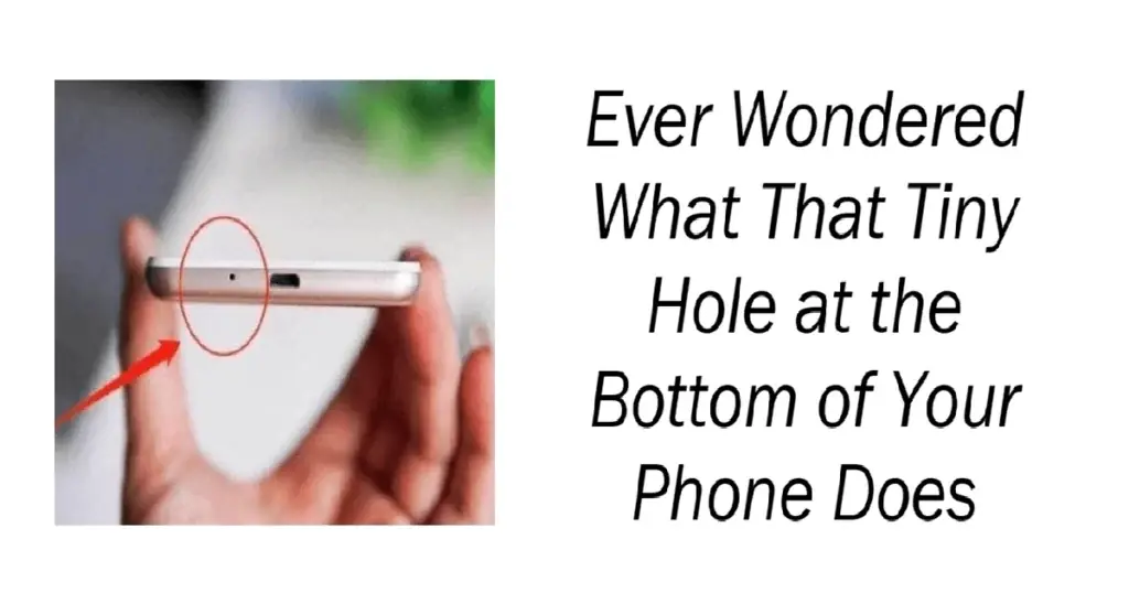 Tiny Hole at the Bottom of Your Phone