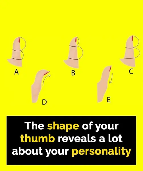 The Secrets Your Thumb Shape Reveals