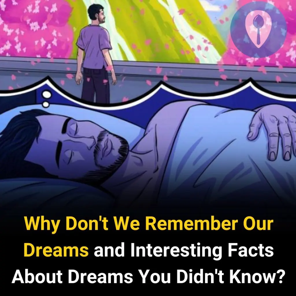 Why We Forget Our Dreams