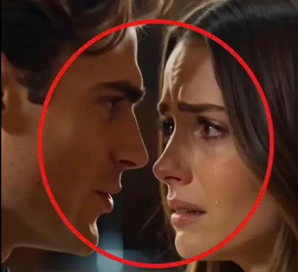 🎬 Part 2: The Secret That Destroyed the Groom