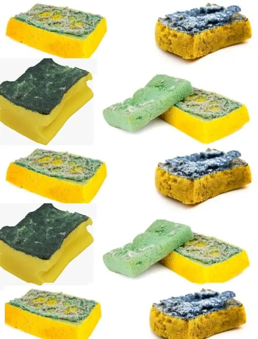 Don’t Throw Away Your Old Sponges