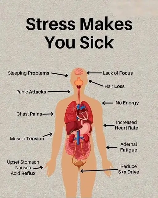 How Stress Affects Your Body
