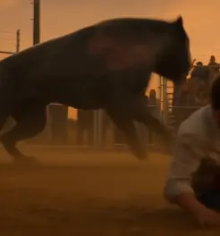 PART 2: Dust swirled through the giant outdoor arena as the crowd roared behind rattling metal fences under the orange sunset sky.