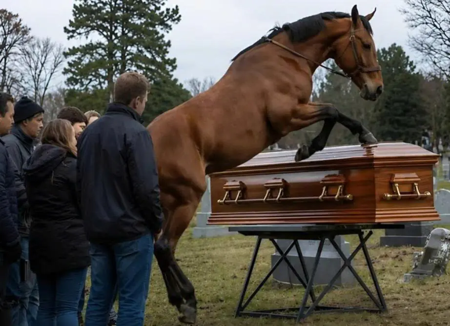 At a 60-Year-Old Farmer’s Funeral, His Loyal Horse Smashed the Coffin Open—Revealing a Terrifying Secret Inside