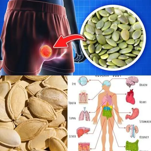 Why Pumpkin Seeds Deserve a Spot in Your Daily Diet