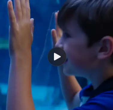🎬 PART 2: «The Hand in the Water»