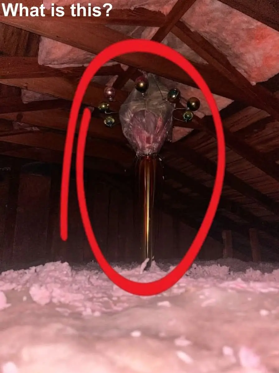 Mystery Item Found in Our Attic