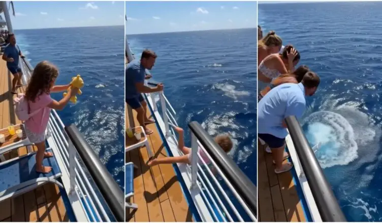 His Daughter Fell From the Cruise Ship—And He Jumped After Her