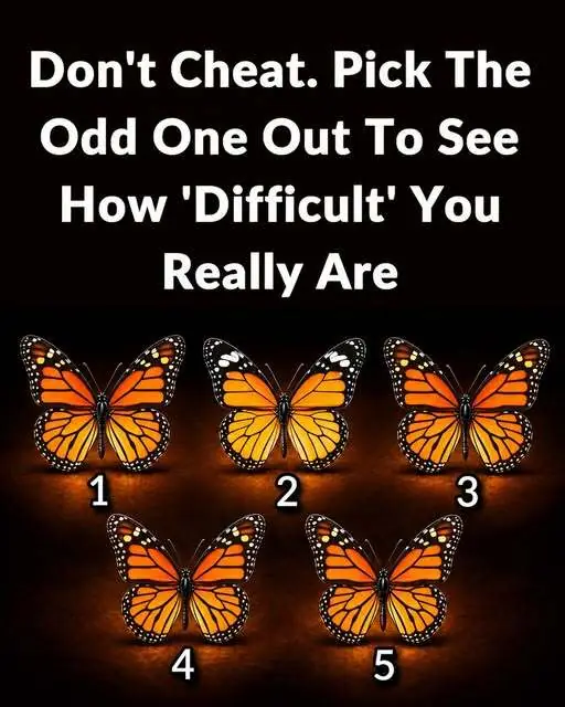 Don’t Cheat. Pick The Odd One Out To See How ‘Difficult’ You Really Are