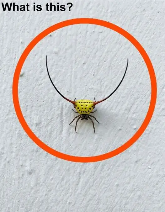 Does anyone know what this is? This is the answer.