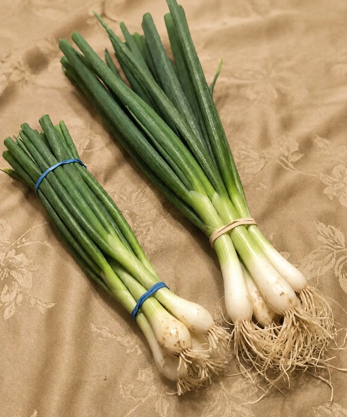 Why Scallions Deserve More Attention In Your Diet