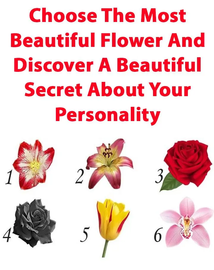 Choose The Most Beautiful Flower And Discover A Beautiful Secret.