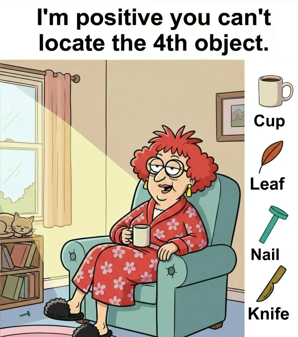 I’m positive you can’t find the 4th object in this living room!