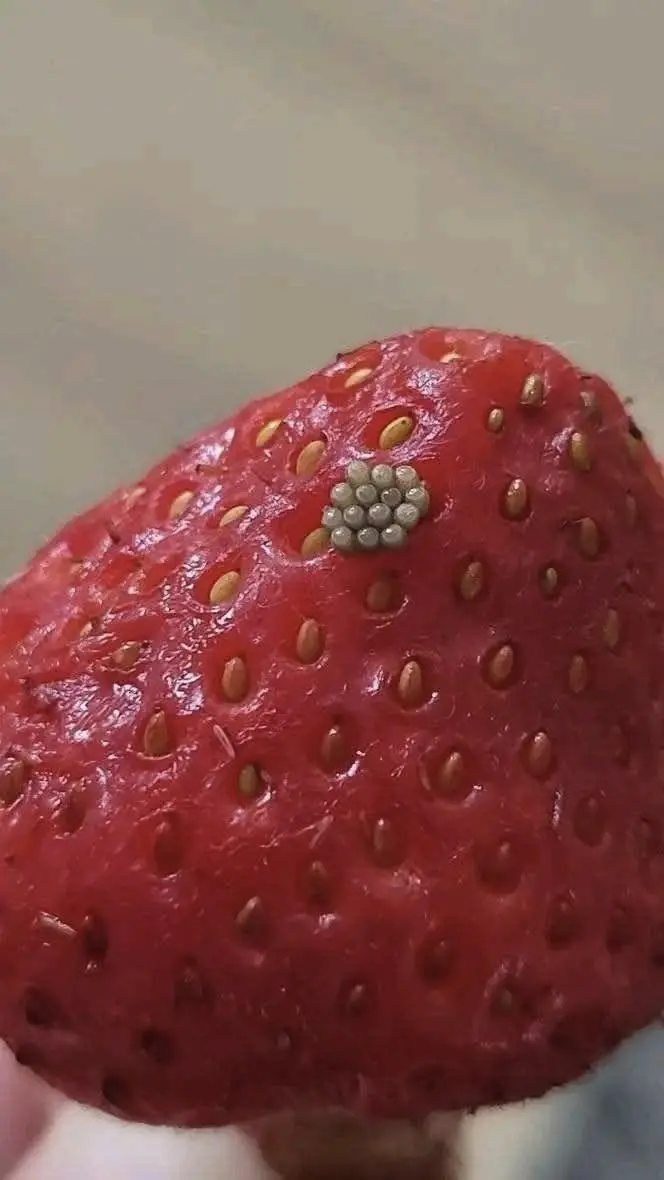 Tiny White Worms in Strawberries? Here's What They Really Are and Whether Your Berries Are Safe to Eat