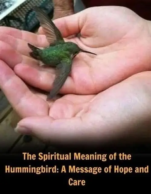 Did you know that if a hummingbird comes to your home, it means that