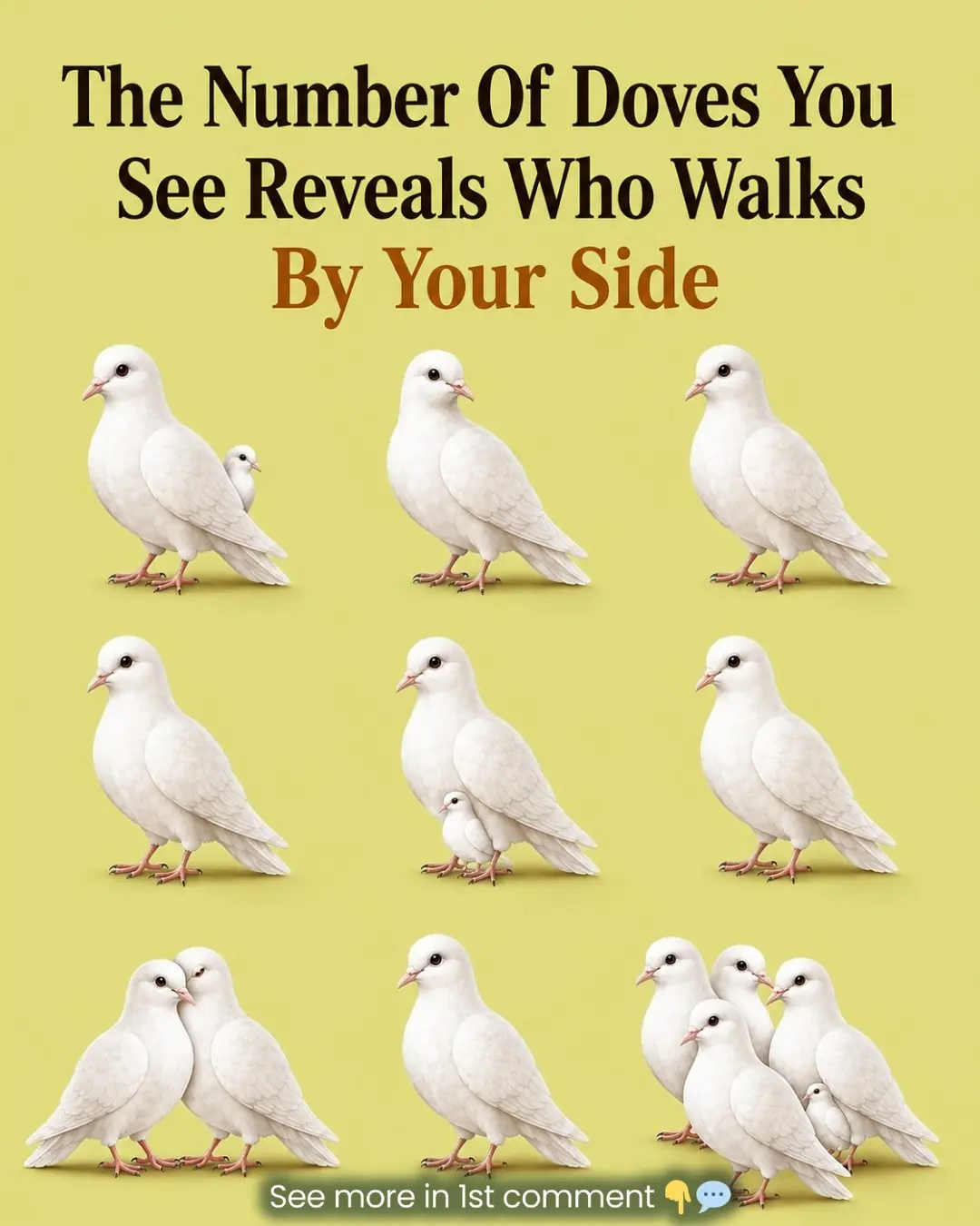 The First Dove You See Could Reveal Something
