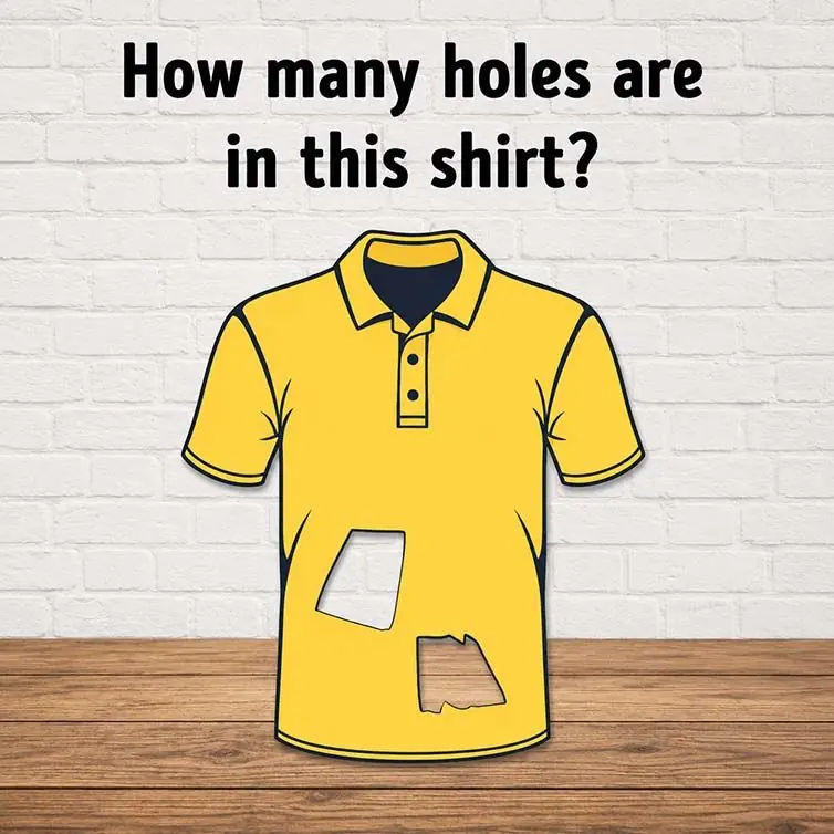 How many holes are in this shirt?