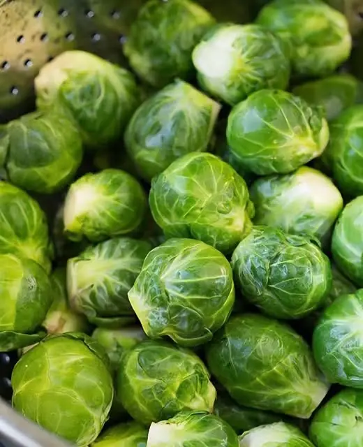 Honestly, does anyone here actually eat Brussels sprouts? Do you know it will…