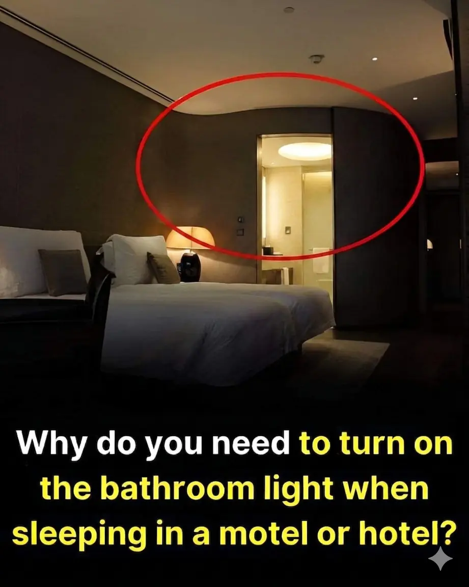 Why You Should Keep the Bathroom Light On in a Hotel