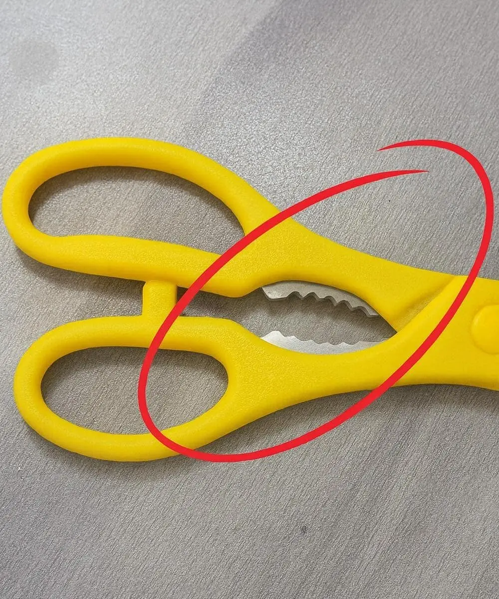 That Strange Toothy Thing on Your Kitchen Scissors? It's Actually a Genius Hidden Tool