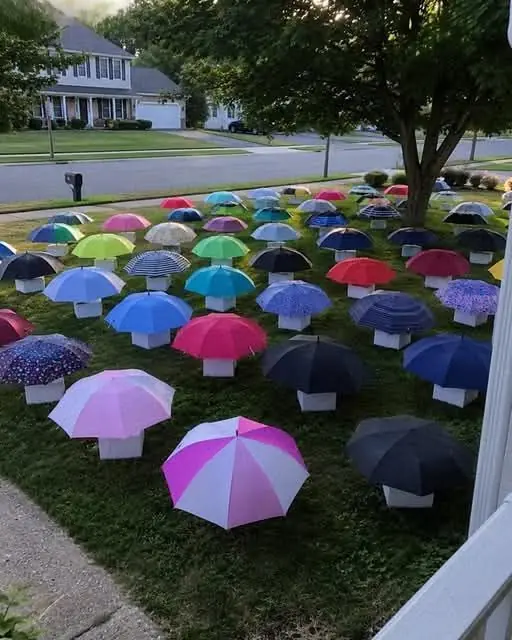 My Son Lent His Umbrella to a Pregnant Stranger