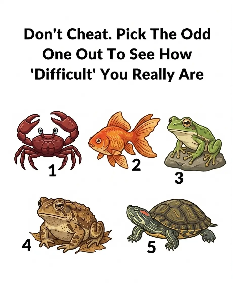 Pick the odd one out to see how DIFFICULT you realy are.