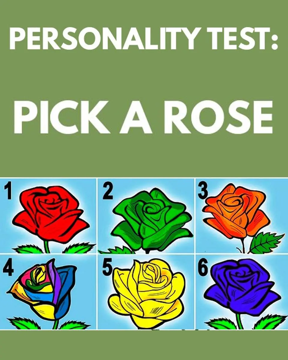 The Rose You Choose Will Reveal Secrets Of Your Personality.